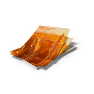 FlyerDemo